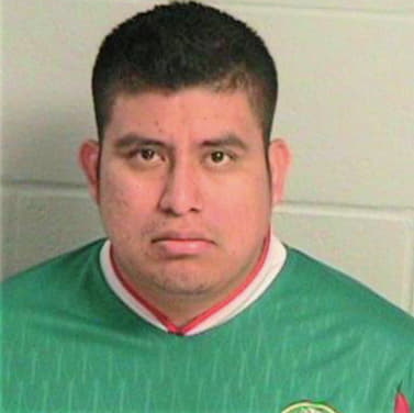 Hernandez Artemio - Rockdale County, GA 