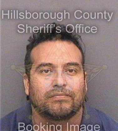 Chavezleon Adrian - Hillsborough County, FL 