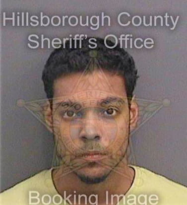 Verdecia Joaquin - Hillsborough County, FL 