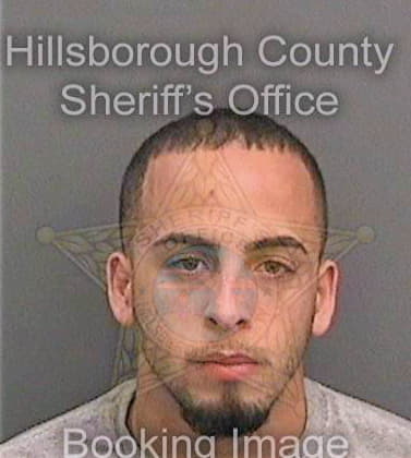 Maldonadorivera Bryan - Hillsborough County, FL 