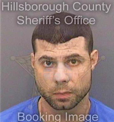 Timmerman David - Hillsborough County, FL 