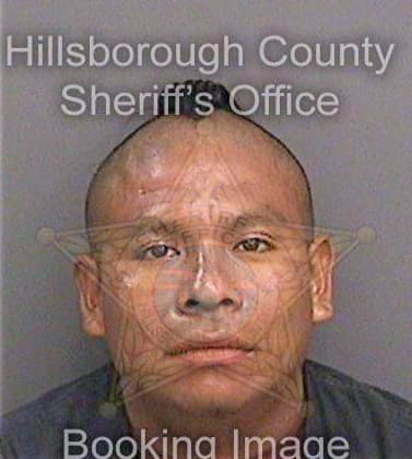 Perez Andres - Hillsborough County, FL 