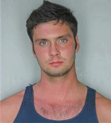 Mellema Andrew - Hillsborough County, FL 