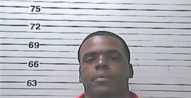 Lee John - Harrison County, MS 