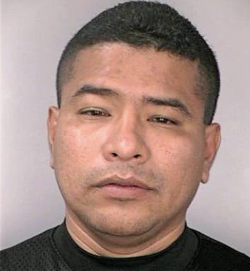 Mieles Fausto - Hillsborough County, FL 