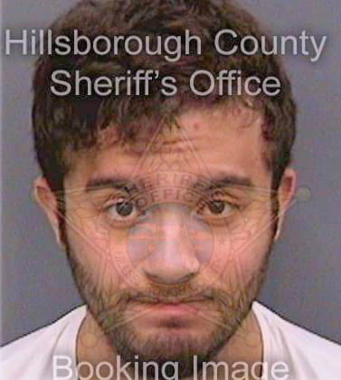 Pierantoni Justin - Hillsborough County, FL 