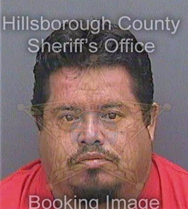 Martinez-Contreras Jose - Hillsborough County, FL 