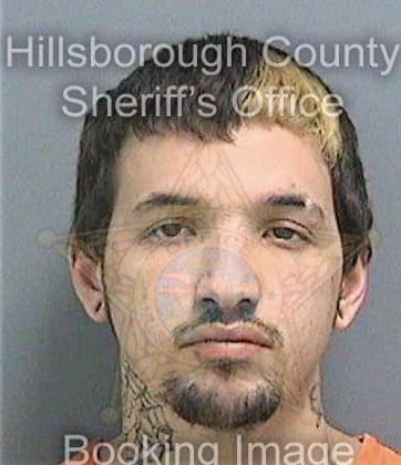 Gonzalez Gregorio - Hillsborough County, FL 