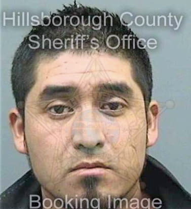 Castanedacastro Josue - Hillsborough County, FL 