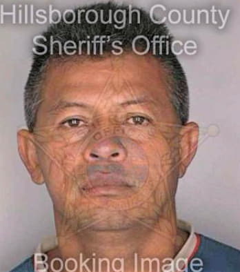 Ramirezmoreno Elvyn - Hillsborough County, FL 