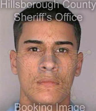 Perez Omar - Hillsborough County, FL 