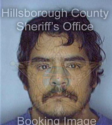 Perezgarcia Carlos - Hillsborough County, FL 