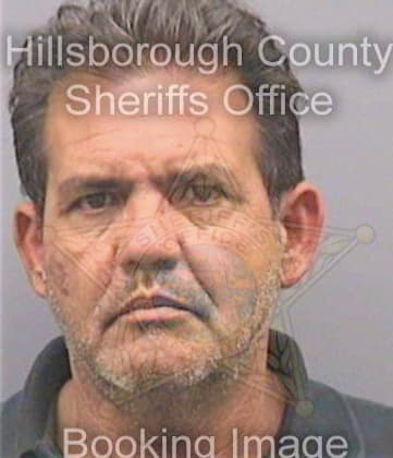 Fernandezhernandez Francisco - Hillsborough County, FL 