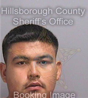 Sierra Domingo - Hillsborough County, FL 