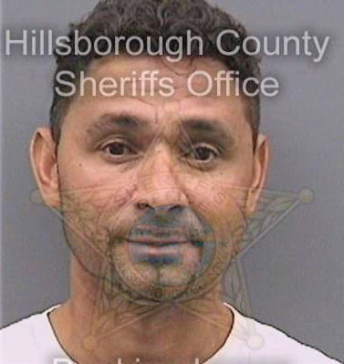 Pena Nelson - Hillsborough County, FL 