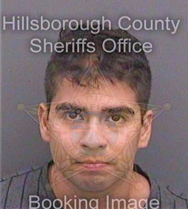 Bonankenzamora Ivan - Hillsborough County, FL 