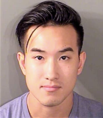 Nguyen David - Denton County, TX 