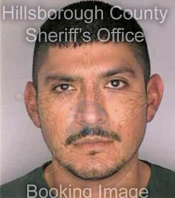 Vazquez Reynaldo - Hillsborough County, FL 