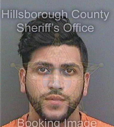 Santiago Alexander - Hillsborough County, FL 