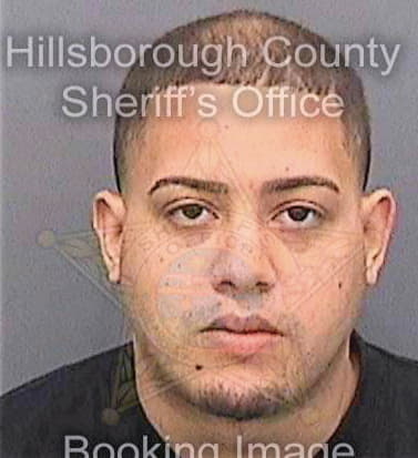 Garcia David - Hillsborough County, FL 