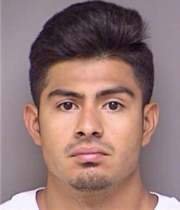 Gonzalez Javier - Denton County, TX 