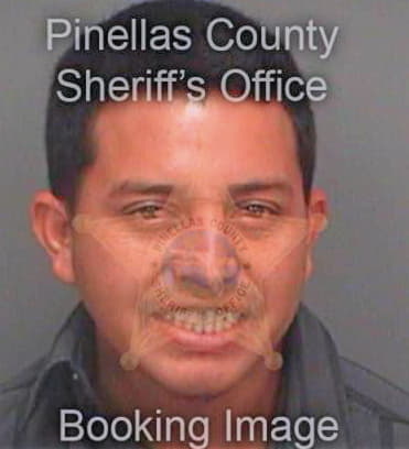 Torresmoreno Ronny - Pinellas County, FL 