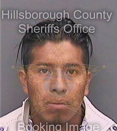 Polvaderasantiago Andres - Hillsborough County, FL 