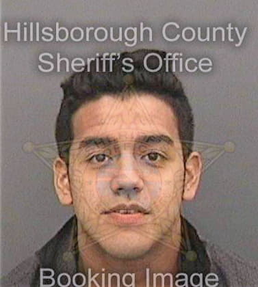 Manriquez Bryan - Hillsborough County, FL 