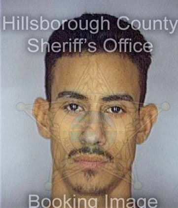 Vega Carlos - Hillsborough County, FL 