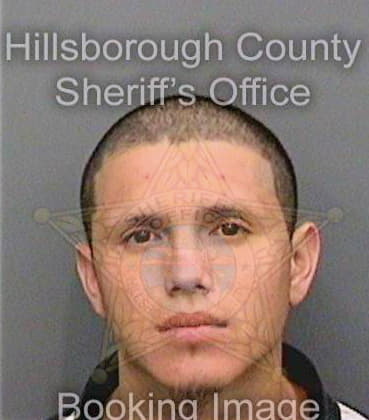 Tejada Martin - Hillsborough County, FL 