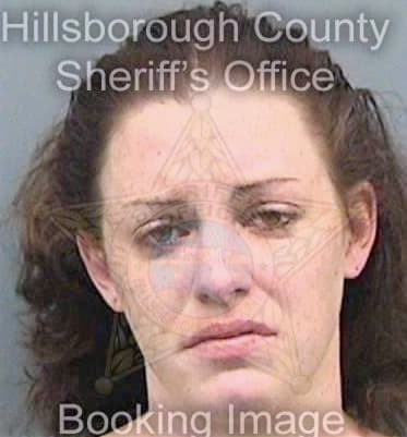 Blazek Morgan - Hillsborough County, FL 