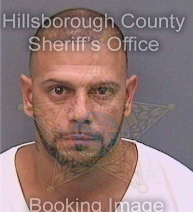 Mendez Edgar - Hillsborough County, FL 