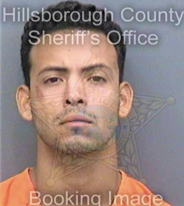 Gonzalez Joel - Hillsborough County, FL 