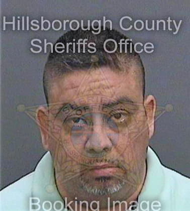 Garcia Carlos - Hillsborough County, FL 