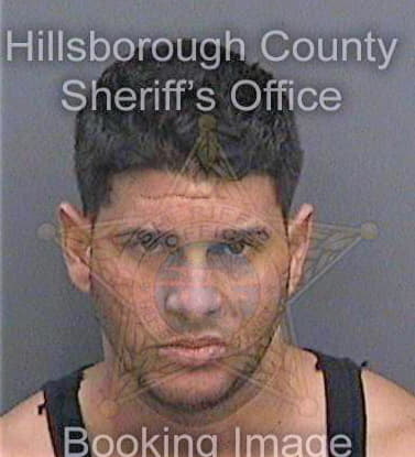 Sanchezdiaz Osiel - Hillsborough County, FL 