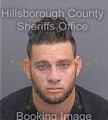 Betancourtmilan Dasiel - Hillsborough County, FL 