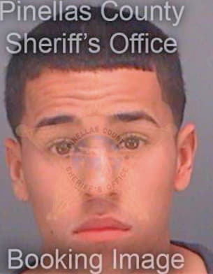 Rodriguezmiranda Moises - Pinellas County, FL 