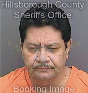 Melendezcolon Bolivar - Hillsborough County, FL 