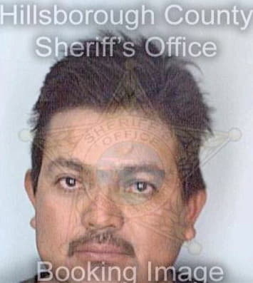 Perez Pedro - Hillsborough County, FL 