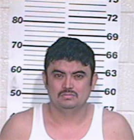 Netro Adalberto - Hidalgo County, TX 