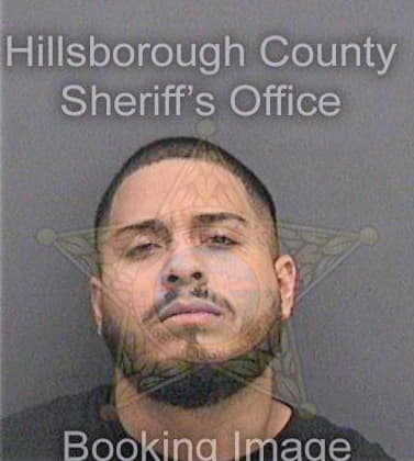 Satizabal Jose - Hillsborough County, FL 