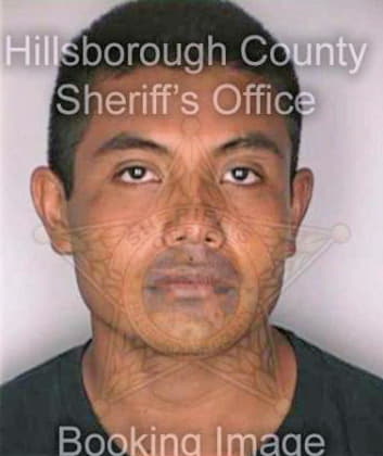 Garcia Genero - Hillsborough County, FL 