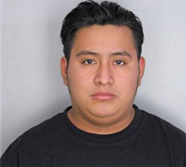 Lopez Bulmaro - Hillsborough County, FL 