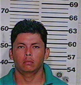 Hernandez Luis - Hidalgo County, TX 