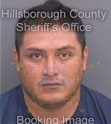 Hernandez Anselmo - Hillsborough County, FL 