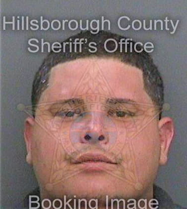 Perezacevedo Alfredo - Hillsborough County, FL 