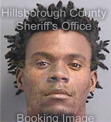 Lewis Denard - Hillsborough County, FL 