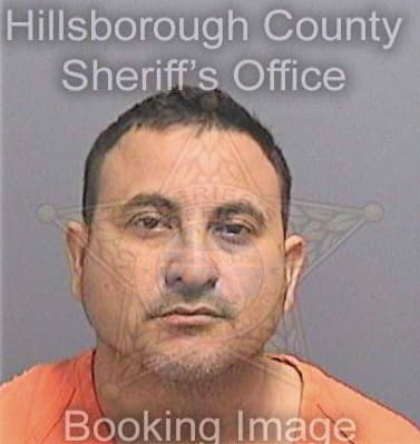 Sanchez Gregorio - Hillsborough County, FL 