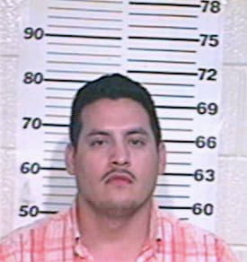 Gonzalez Luis - Hidalgo County, TX 