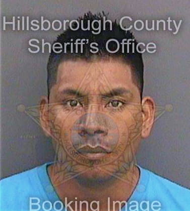 Josecastro Bertin - Hillsborough County, FL 